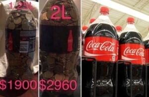 Coke Bottle Money Saver